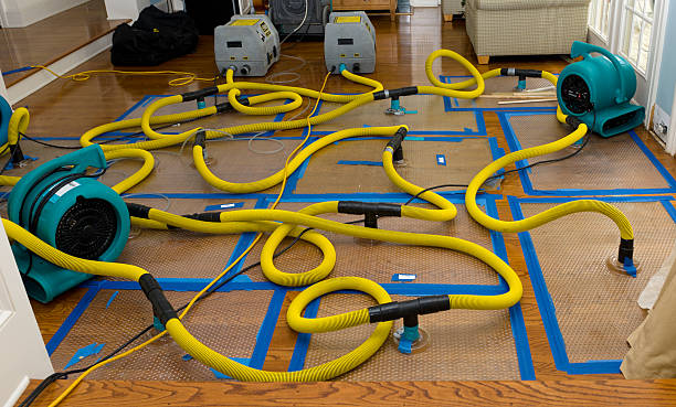 Professional Structural Drying And Dehumidification technician working in Whittier, CA